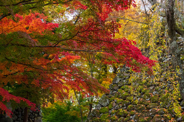 小諸城址懐古園紅葉まつり