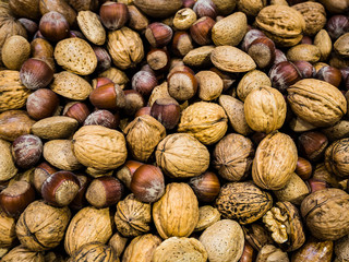Nueces y avellanas 