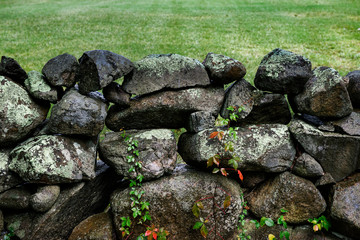 Stone fence, Martha's Vineyard, Massachusetts, USA.