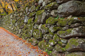 小諸城址懐古園　紅葉まつり