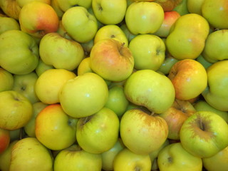 a bunch of ripe new crop apples
