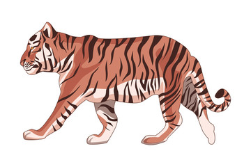 Obraz premium wild tiger cartoon
