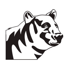 wild bear face  cartoon