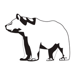 wild bear body  cartoon