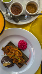 Colorful cochinita pibil plate from Mexico