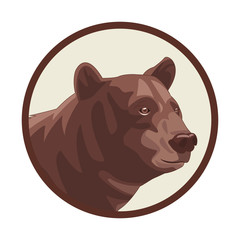 wild brown bear  cartoon