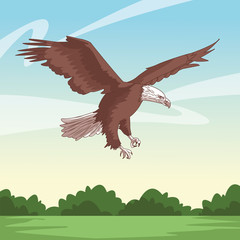 wild eagle body cartoon