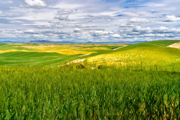 Palouse Region of Washington