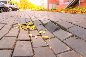 Destruction of paving slabs.