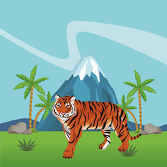 wild tiger cartoon