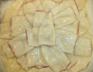 fresh chilled squid fillet on ice pieces