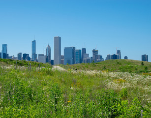 Fototapeta na wymiar Chicago skyline from Northerly Island