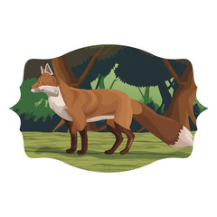 fox wild animal