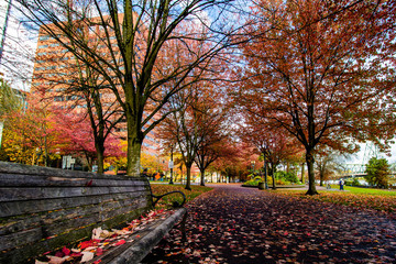 Downtown Portland in Fall season