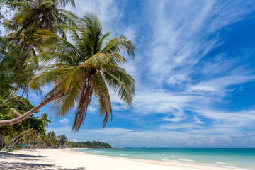 Naklejka na ściany i meble Beautiful tropical beach sea and ocean with coconut palm tree