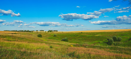 Fototapeta premium Summertime.Beautiful panoramic view of green meadows,hills,golden wheat fields and distant woods at sunset.Beautiful clouds in blue sky.Summer country landscape.
