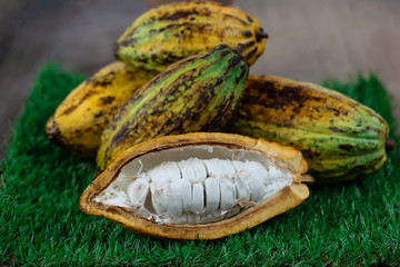 Fresh cacao fruit with cocoa crunch (Products Production from cacao) on table
