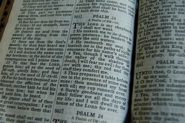 Psalm 23 in Great Grandma's bible, The Lord is My Shepherd 