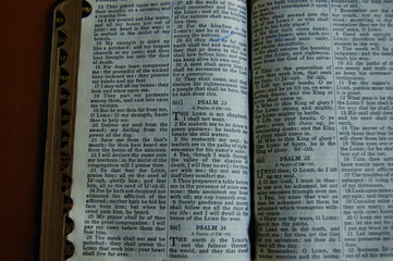 Obraz premium 19th century bible open to Psalm 23