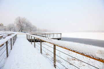 Obraz premium park gauntree snow scene
