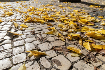 Architecture and streets of Lisbon, Portugal in November
