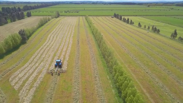 Tractor racking hay into rows to prepare for baling on a Waitepeka, New Zealand, farm, in slow motion.