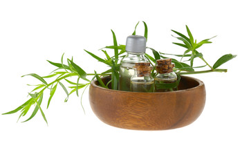 Tarragon essential oil set in glass bottles and fresh green twigs of tarragon in a  wooden cup...