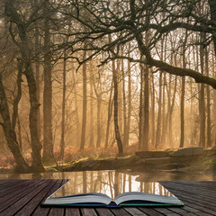 Beautiful landscape image of still stream in forest in the Lake District with hazy sun beams and glow coming out of pages of open story book