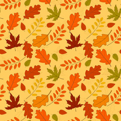 Plakat Hand drawn seamless pattern with fallen autumn leaves of various type and color on white background. Autumnal backdrop with colorful foliage. Vector illustration for textile print, wrapping paper.