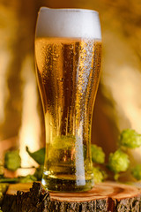 Amber beer with a sprig of hops on a wooden Board. Foam hop drink. Foamy beer in a glass on a wooden stand, gold blurred background