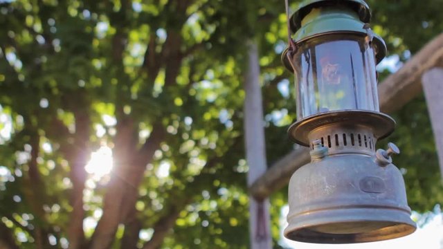 Old oil lamp hanging on a tree.
