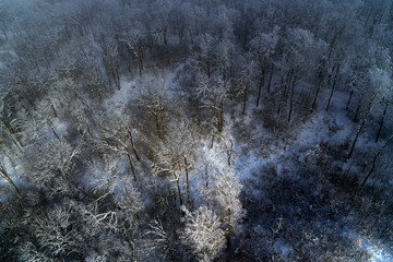 aerial drone view with snowy forest in winter season
