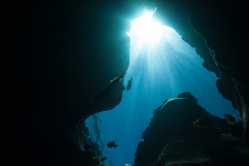 Photo taken while freediving into an underwater cave and looking up towards the brilliant sunlight...