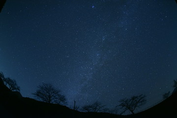 Fototapeta premium 星空