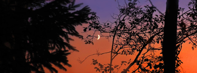 Red sunset and the young moon. Crescent moon in the evening sky.