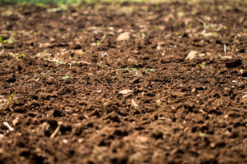 Plowed soil in the field texture