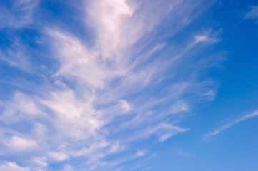 Obraz premium Blue sky with cloud. Soft clouds. Cloud sky background