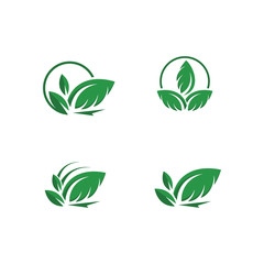 Leaf Vector icon design