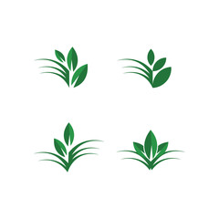 Tree Leaf Vector icon Illustration design template