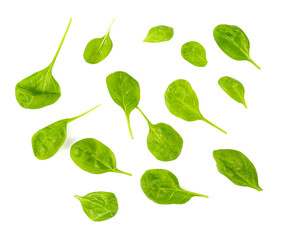 spinach isolated on white