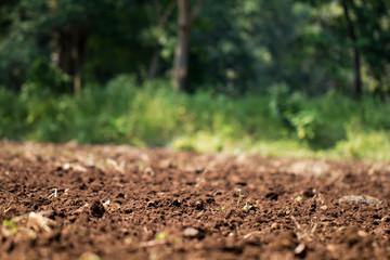 Plowed soil in the field texture