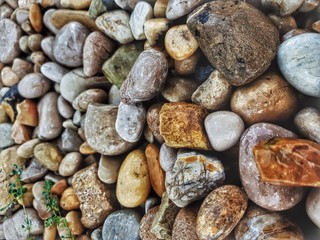 pebbles on the beach