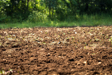 Plowed soil in the field texture