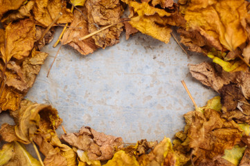 autumn leaves on wooden background