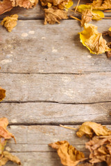 Dry leaves on wooden background