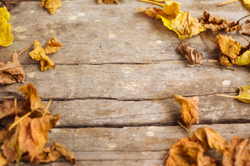Brown leaves on the empty wooden table