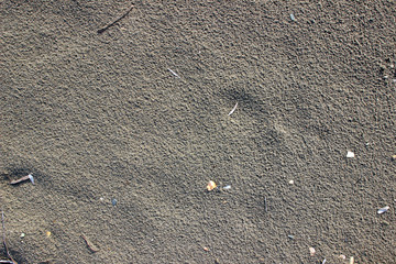 Wet beach sand debris traces surface