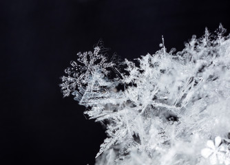 snowflake in the snow, winter