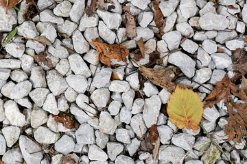 the texture. the stones on the ground.