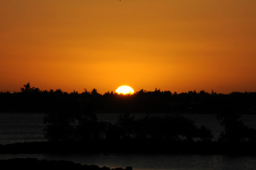 Sunset over the trees